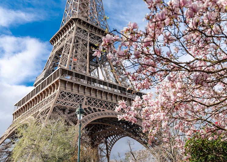 Paris in springtime