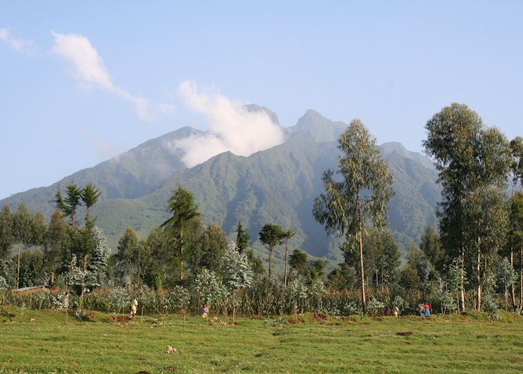 Sabyinyo Volcano