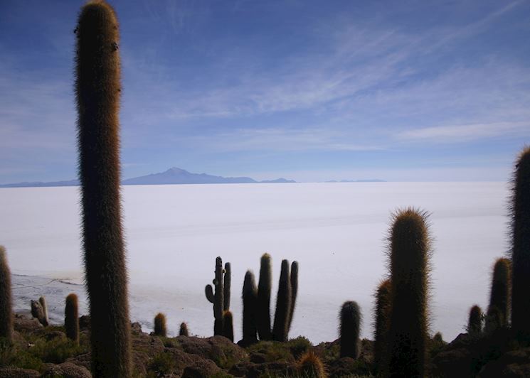 View of the Salar de Uyuni from the Isla Pescado, Bolivia