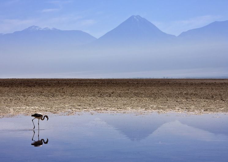 The Atacama, Chile