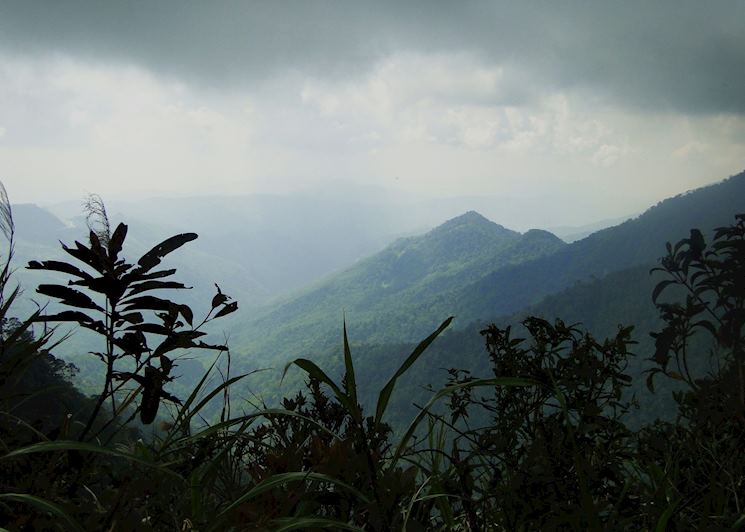 Kinabalu National Park, Malaysian Borneo
