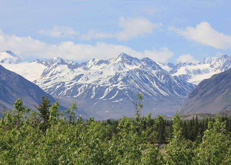 Scenery along the Richardson Highway
