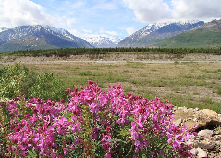 Scenery along the Richardson Highway