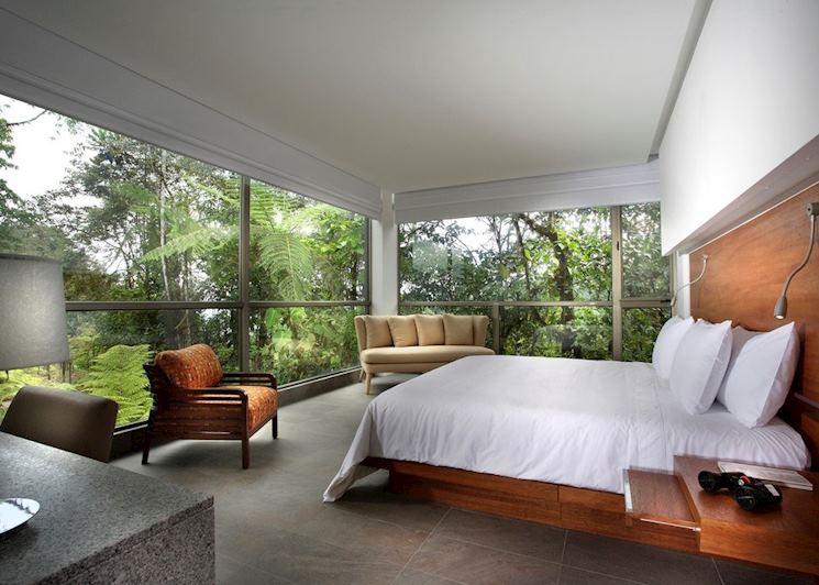 Yaku Suite, Mashpi Lodge