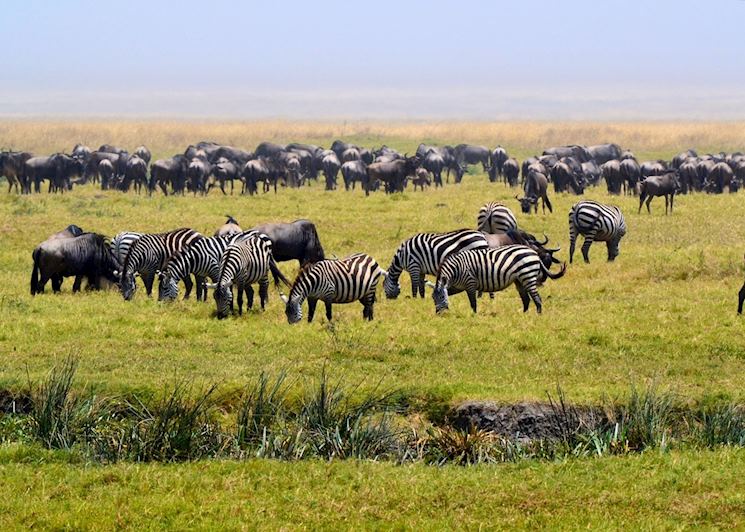 Ngorongoro Conservation Area, Tanzania