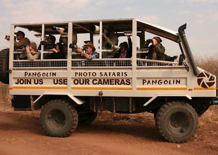 Half Day Land Photographic Safari - Pangolin Photography,Chobe National Park