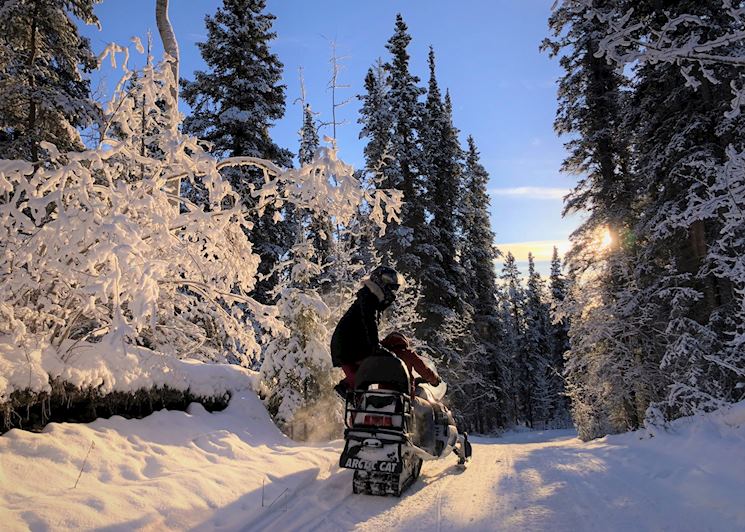 Scenery on snowmobiling experience near Inn on the Lake, Whitehorse
