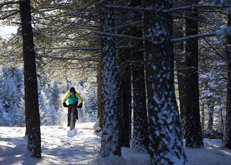 Fat bike tour
