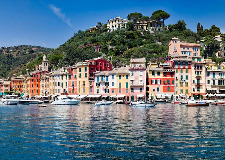 Vibrant port, Portofino