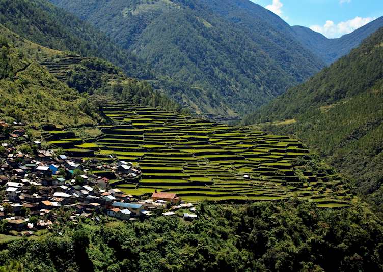 Rice terraces around Banaue