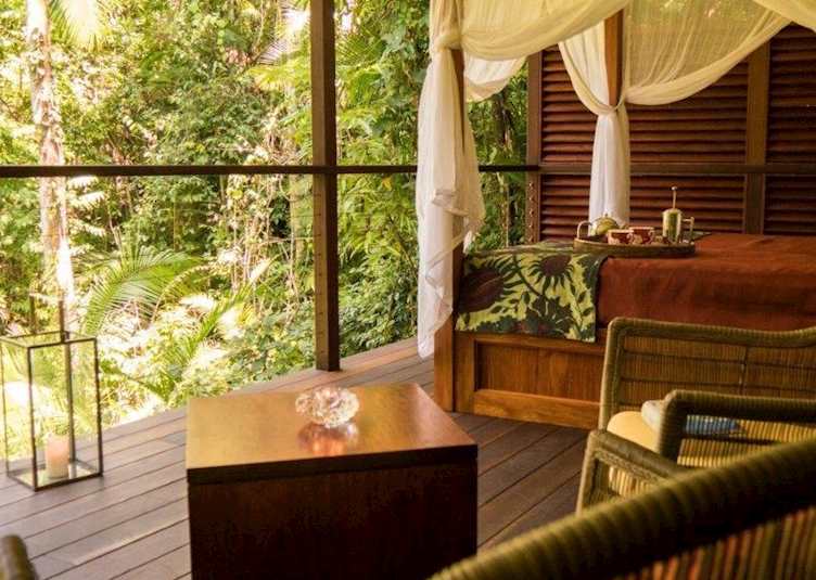 Silky Oaks, Daintree & Cape Tribulation