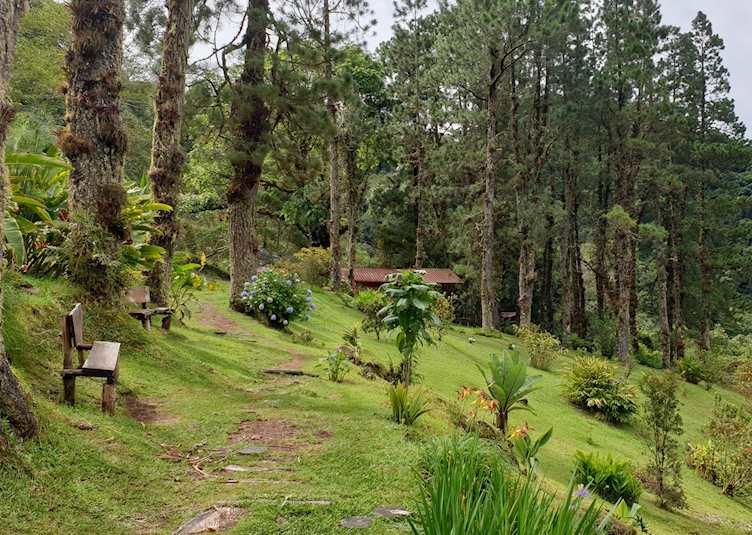 Hiking in Boquete cloudforest, Panama