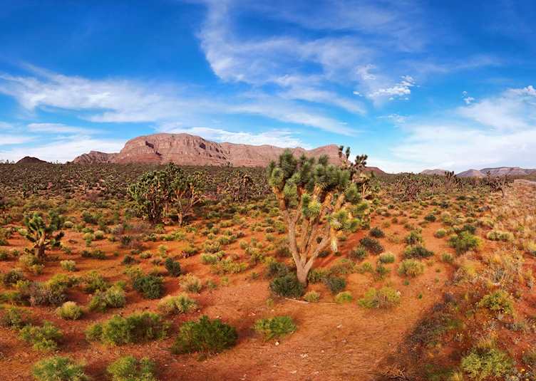 Arizona