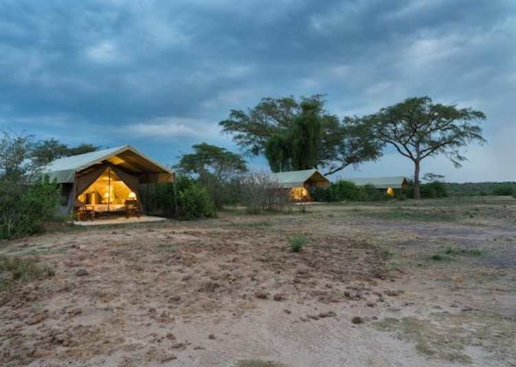 Honeybear Bush Camp, Uganda - Honey Bear Safari Tents