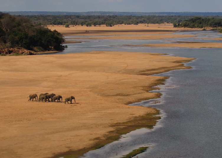 Elephants coming down to drink in Gonarezhou National Park, Zimbabwe
