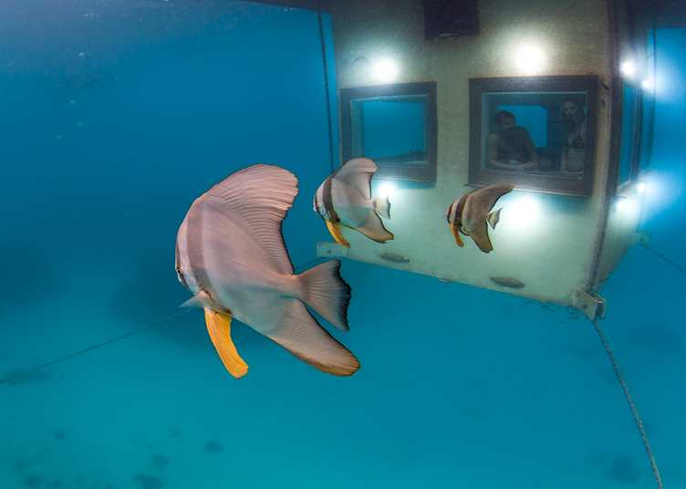 Underwater room, Manta Resort, Pemba Island