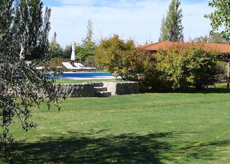 Grounds, Posada Oliva Verde