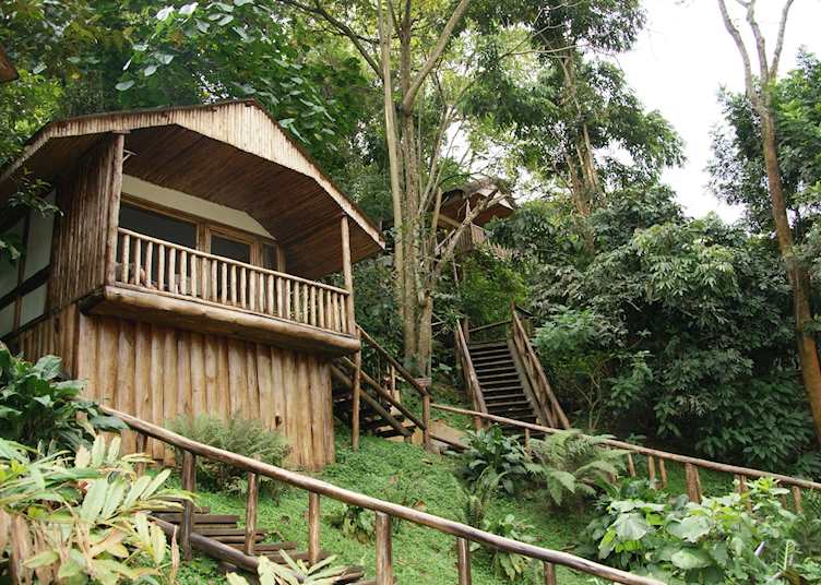 Buhoma Lodge, Bwindi Impenetrable National Park