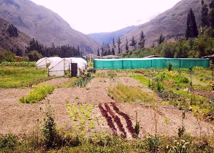 Organic farm, El Albergue, Sacred Valley of Incas