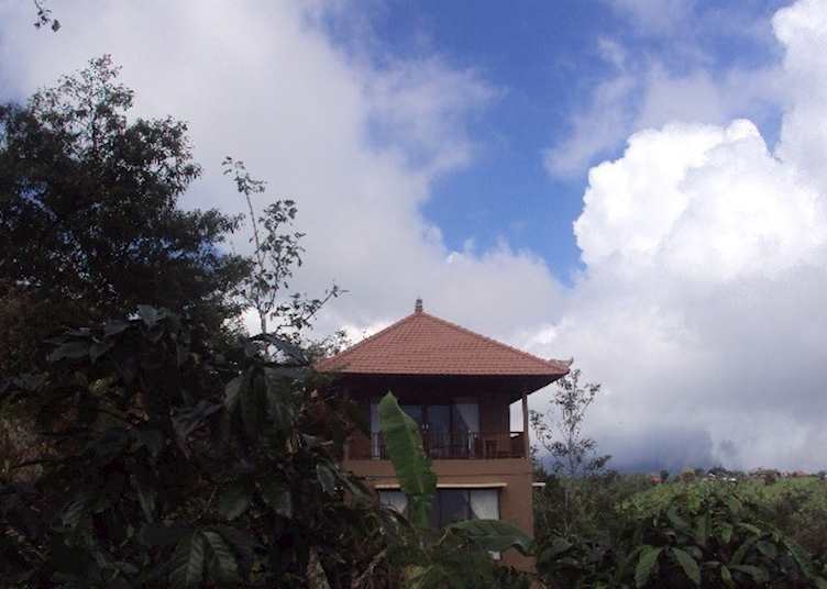 Two bedroom coffee villa surrounded by mature coffee plantation