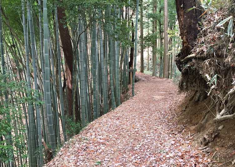 Walk to Castle Ruins in Tsumago