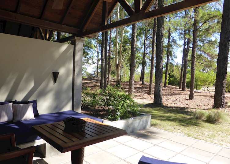 Woodland and terrace, Hyatt Carmelo