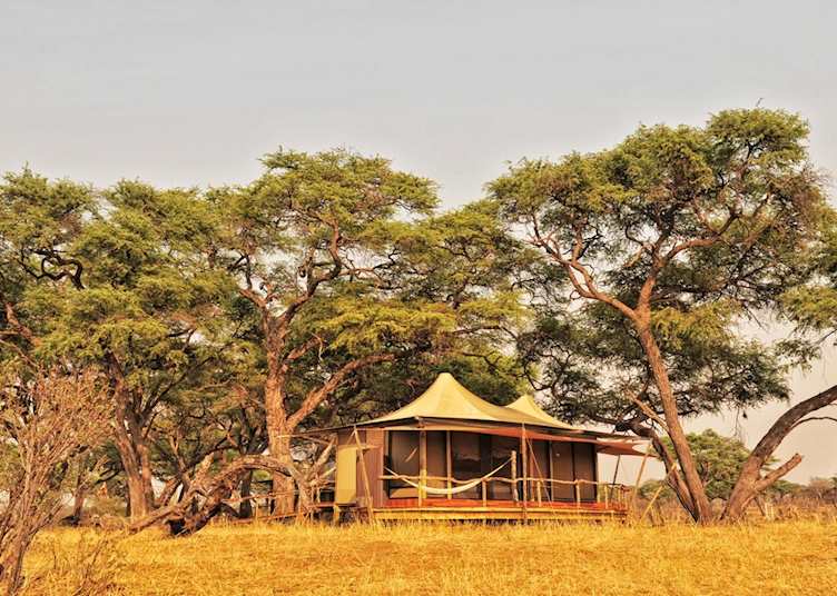 Somalisa, Hwange National Park