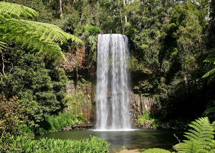 Atherton Tablelands, Millaa Millaa Waterfall, Queensland, Australia