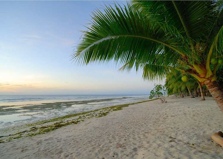 Beach at the Amarela