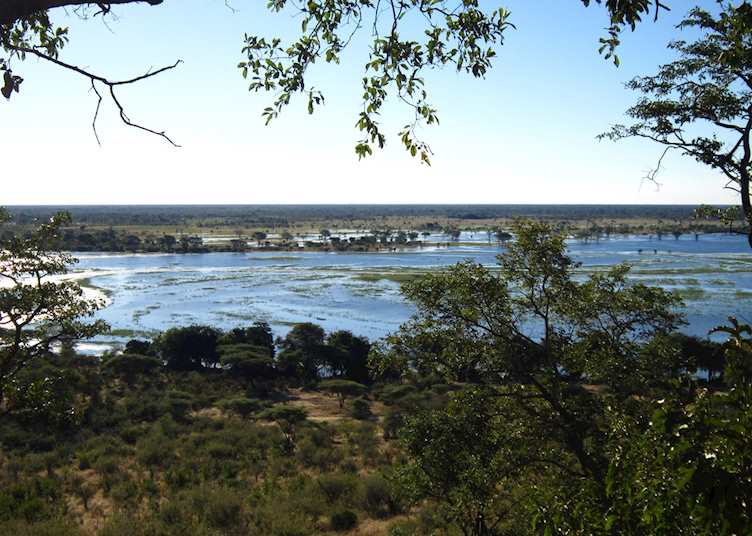 View over Chobe National Park