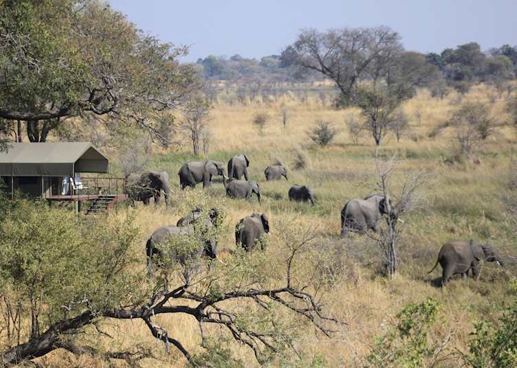 Nkasa Lupala Tented Lodge, Mudumu and Nkasa Lupala National Park
