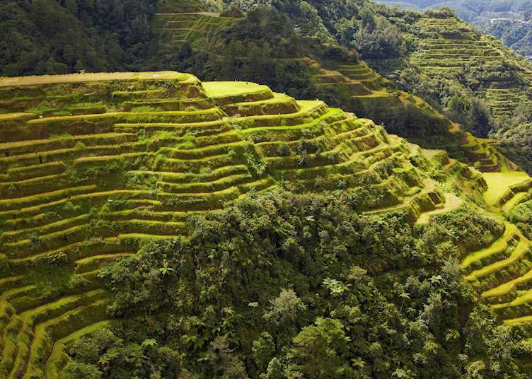 Banaue rice terraces