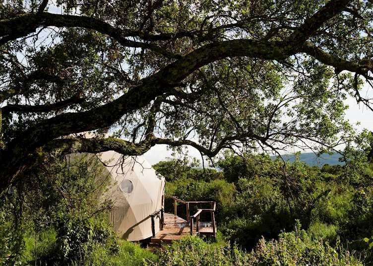 The Highlands Guest Tent