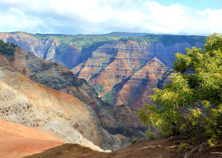 Waimea Canyon, Kauai