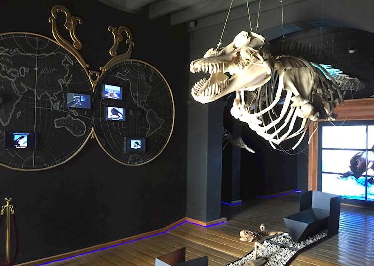 Whale Museum, La Paz