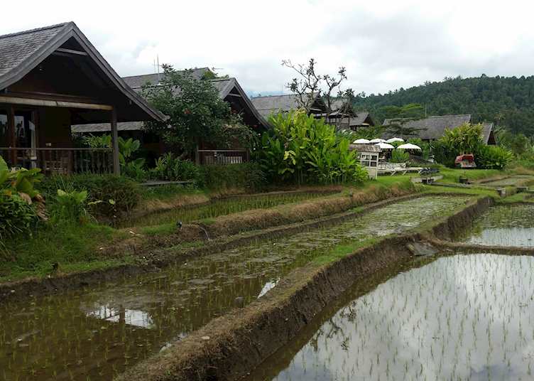 Sanak Retreat mid resort