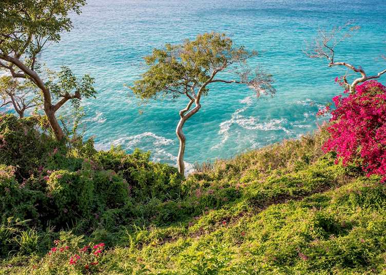 Guana Island, Guana Island