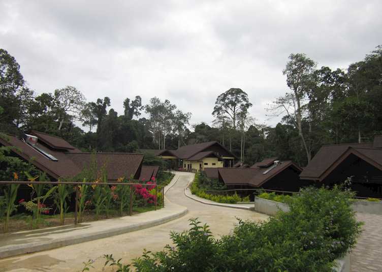 Exterior shot of the rooms at My Nature Resort