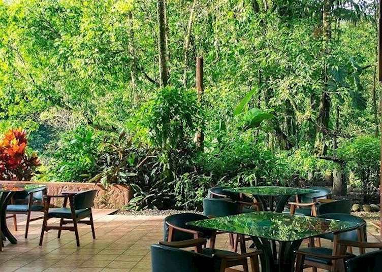 Hotel Bar at Selva Verde
