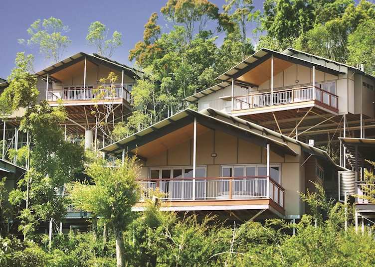 O'Reilly's Rainforest Guesthouse, Lamington National Park