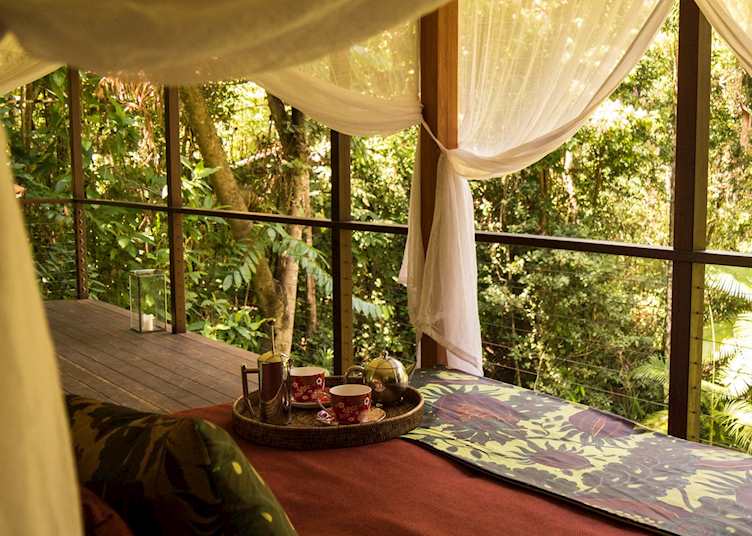 Silky Oaks, Daintree & Cape Tribulation