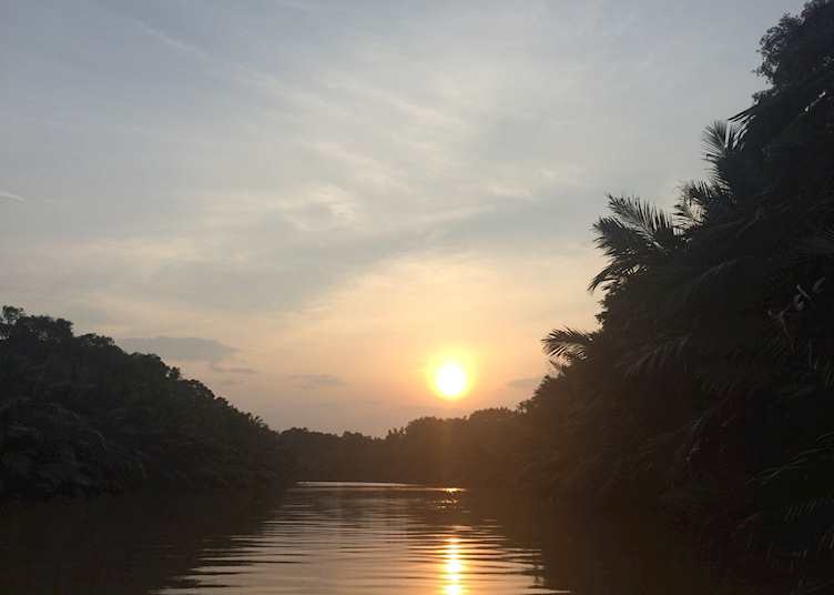 Sunset over the mangroves, Kinabatangan Wetlands Resort, Kinabatangan River