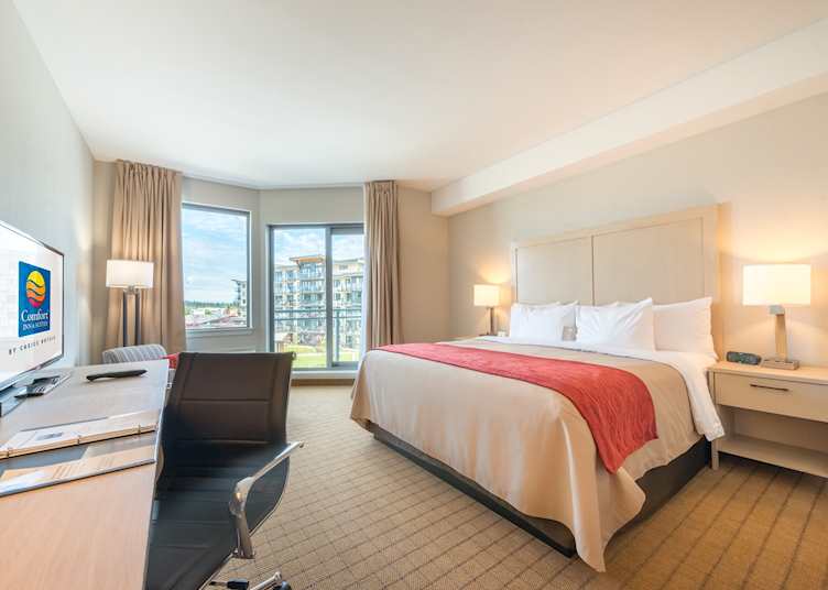 One bed room, Comfort Inn & Suites, Campbell River