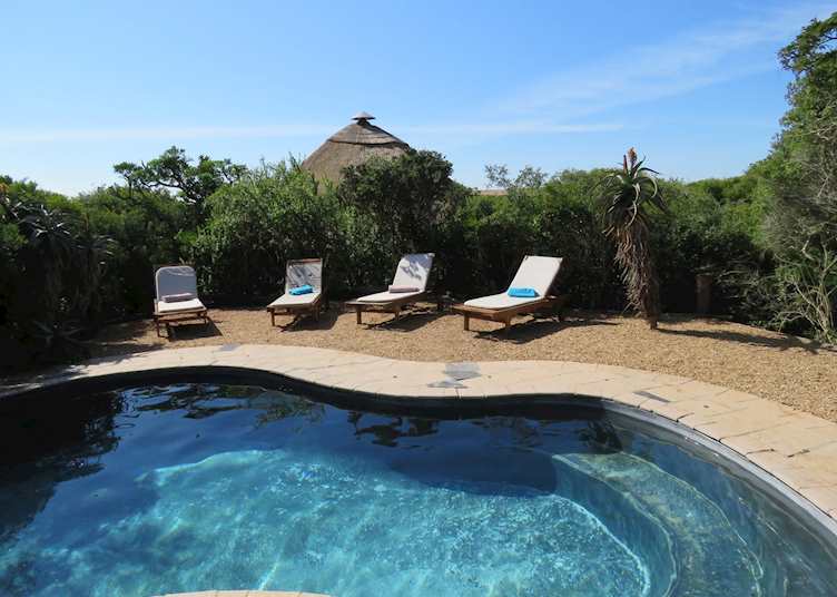 Amakhala Woodbury Tented Lodge. Pool 