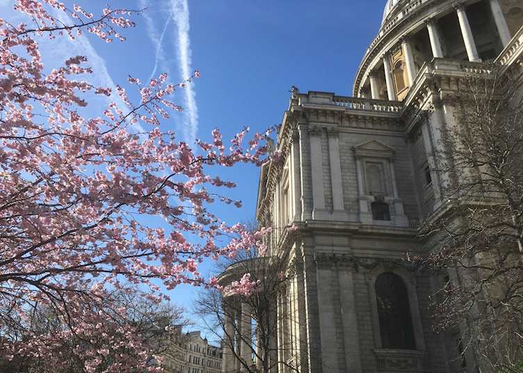 St Paul's Cathedral