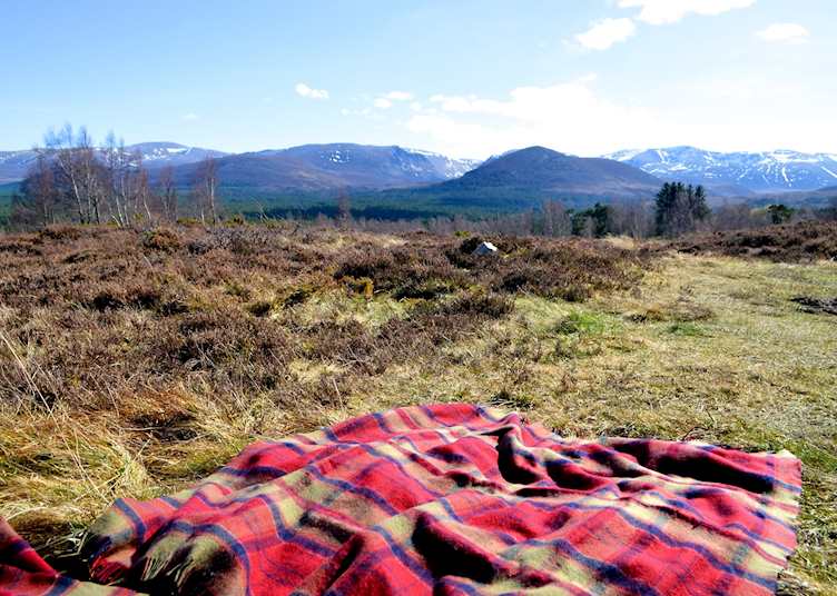 Picnic spot