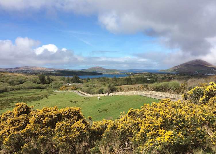 Connemara