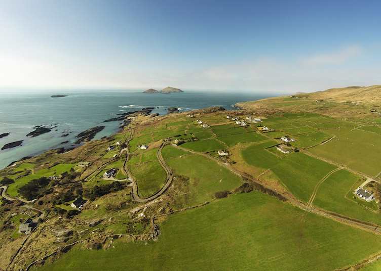 Skellig