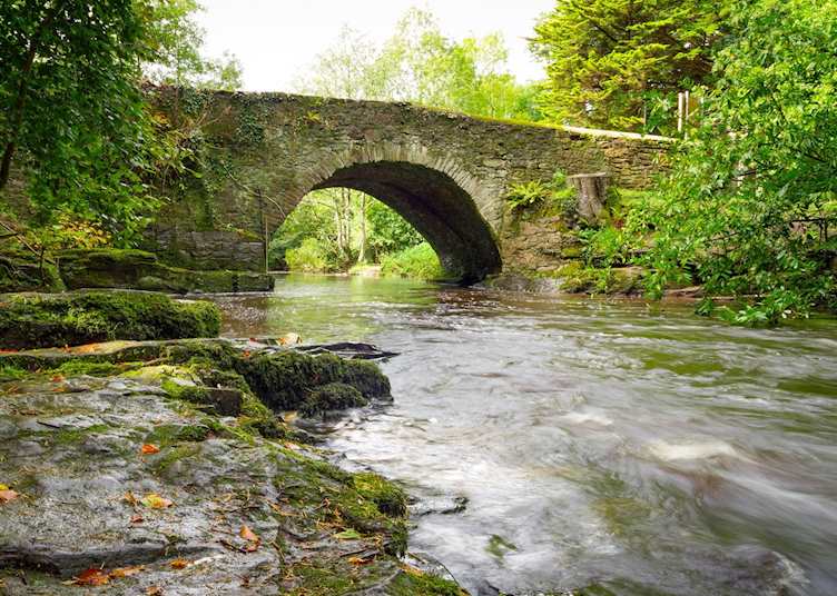 Mountain creek