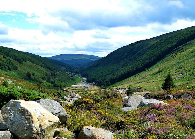 Wicklow Mountains, Ireland